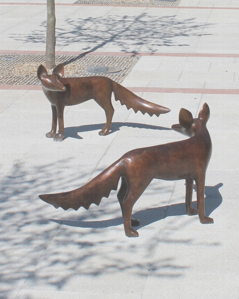 Bronze Foxes