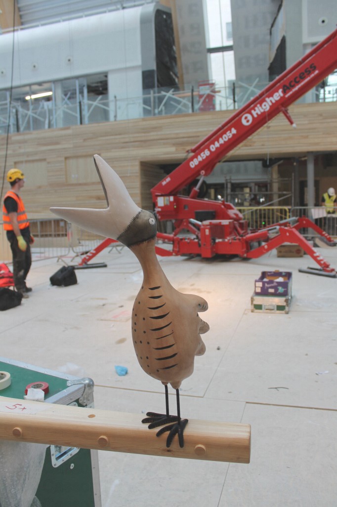 Bird during installation of 'roost'