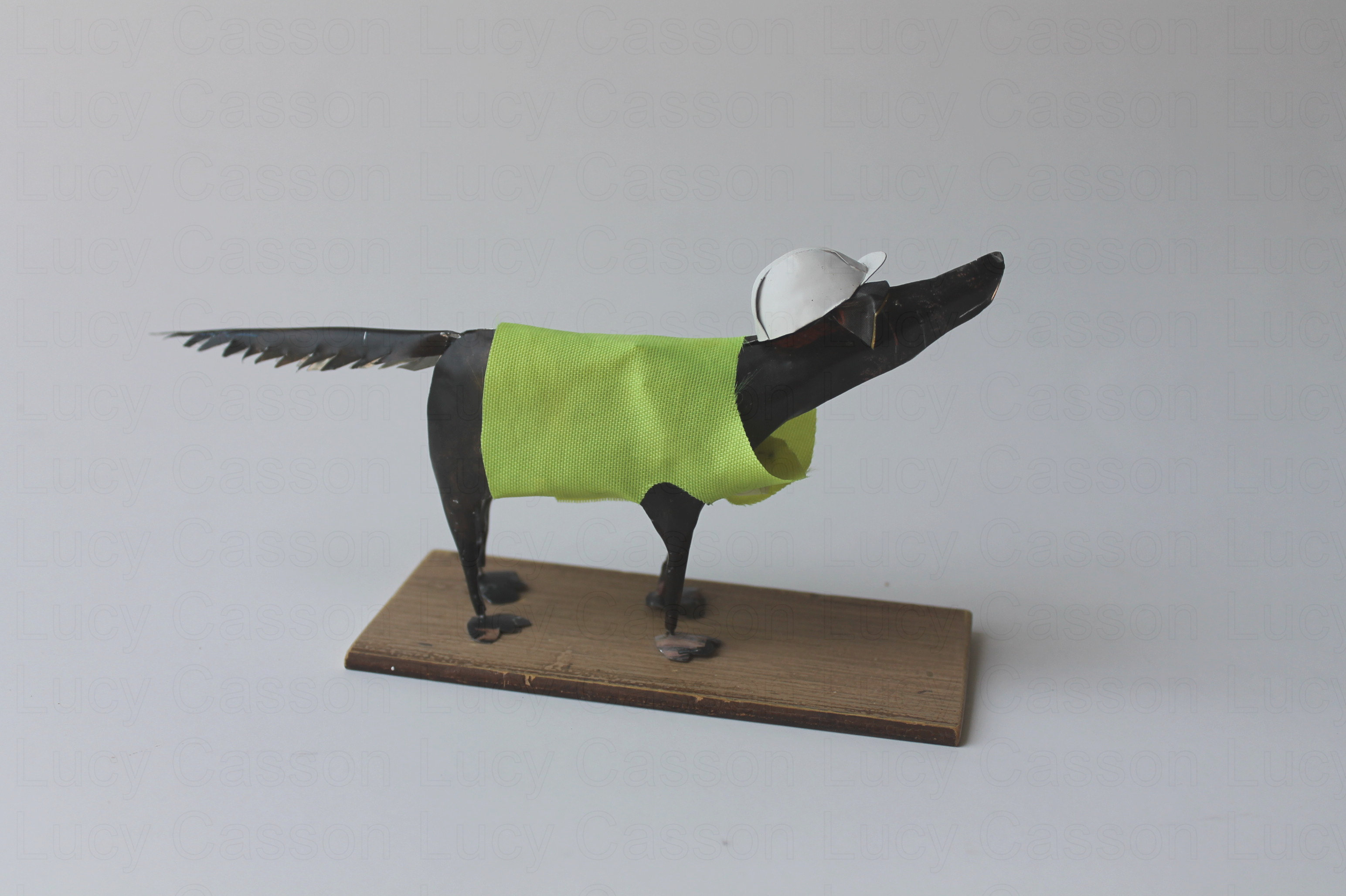 Hi Vis Dog, Alder Hey Hi Vis Dog, Alder Hey